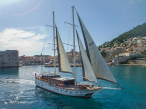 M/Y VIVERE